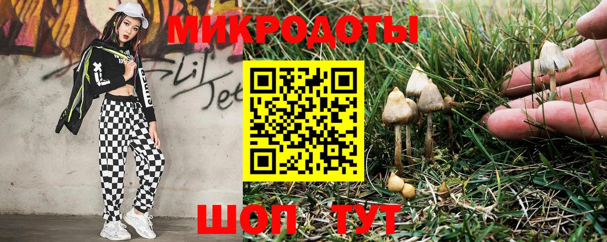 Галлюциногенные грибы GOLDEN TEACHER  что такое   Лангепас  Вход с VPN  Галлюциногенные грибы Psilocybe 